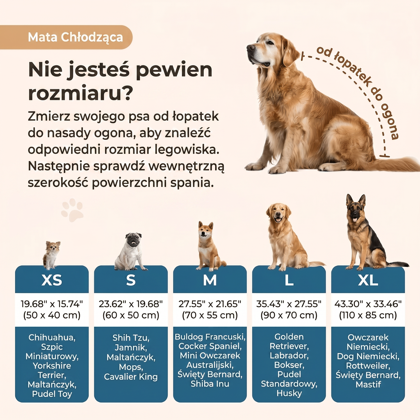 Mata chłodząca dla zwierząt PawChill™