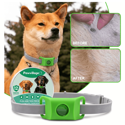 PawShield™ Flea & Tick Collar